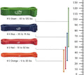 Fit Simplify Pull Up Assist Resistance Bands for Fitness, Physical Therapy, Stretching, Mobility and Exercise Green