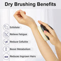 Dry Brushing Body Exfoliating Brush, anti Slip Body Scrubber for Shower, Never Mold Shower Body Cleaning Brush for Deep Cleansing & Soften Skin,