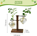XXXFLOWER Plant Propagation Station Terrarium Wooden Stand 2 Love Bulb Vase Transparent