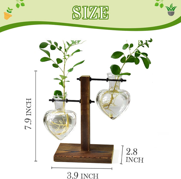 XXXFLOWER Plant Propagation Station Terrarium Wooden Stand 2 Love Bulb Vase Transparent