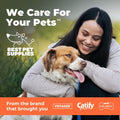 Best Pet Supplies Interactive Squeaky Dog Chew Toy, Ideal Dog Toys for Chewers, Small, Medium & Large Dogs, and Fetch Lovers - Crinkle Duck