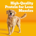 Pedigree Complete Nutrition Adult Dry Dog Food, Grilled Steak & Vegetable Flavor, 18 Lb. Bag