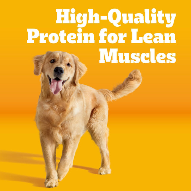 Pedigree Complete Nutrition Adult Dry Dog Food, Grilled Steak & Vegetable Flavor