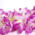50Pcs Hawaiian Leis for Luau Party Bulk, Luau Leis Lays Necklace Hawaiian Party Supplies for Adults and Kids, Hawaiian Flower Leis for
