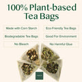 VAHDAM, Assorted Green Tea Bags Sampler (5 Flavors, 20 Ecofriendly Pyramid Tea Bags) I Gift Ideas for Women & Men | Himalayan Green Tea Varieties