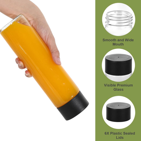 Danmu Glass Juice Bottles with Lids 16 Oz,Juicing Bottles Reusable Glass 100% Leakproof,Glass Bottles for