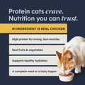 Instinct Original Grain Free Real Chicken Recipe Natural Wet Canned Cat Food, 5.5 Ounce (Pack of 12) Chicken 5.5 Ounce (Pack of 12)