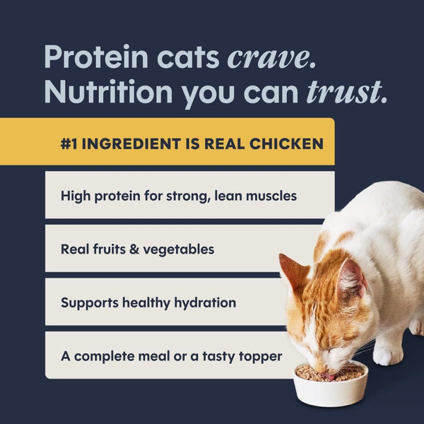 Instinct Original Grain Free Real Chicken Recipe Natural Wet Canned Cat Food, 5.5 Ounce (Pack of 12) Chicken 5.5 Ounce (Pack of 12)