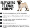 BV Puppy Pads Leak-Proof 100 Count 22"X 22" | Pee Pads for Dogs Quick Absorb 6-Layer - Dog Pee Pads - Dog Pads 100 Pack - Potty Pads for Dogs -