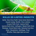 BioAdvanced Fruit, Citrus & Vegetable Insect Control Concentrate - Pest Control for Fruit and Vegetable Gardens - Up to 2 Months Infestation