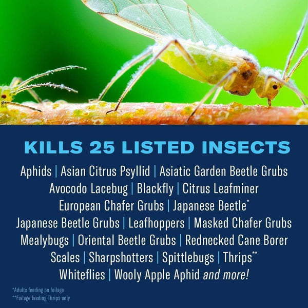 BioAdvanced Fruit, Citrus & Vegetable Insect Control Concentrate - Pest Control for Fruit and Vegetable Gardens - Up to 2 Months Infestation