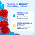 First Day Teens’ Nighttime Reset Calming Magnesium Gummies – Sleep Aid Supports Peaceful Rest, Balanced Mood & Energy – Supplement with Magnesium