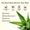 Amazing Aloe Vera Gel - Freshly Cut, 100% Pure Aloe, Premium Quality, Vegan, Unscented - Natural Sunburn Relief, after Shave, Skin, Face & Hair