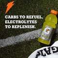 Gatorade Original Thirst Quencher Fierce Variety Pack, 20 Oz, Pack Of 12 Fierce Variety Pack 20 Fl Oz (Pack of 12)
