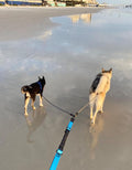 5 FT Double Dog Leash Coupler, Extension Rope for Two Dogs Walking, No Tangle Dual Strong Dog Lead Splitter, for Large Medium Dogs (3/8" X 1.5m