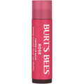 Burt's Bees Lip Tint Balm with Long Lasting 2 in 1 Duo Tinted Balm Formula, Color Infused with Deeply Hydrating Shea Butter for a Natural Looking