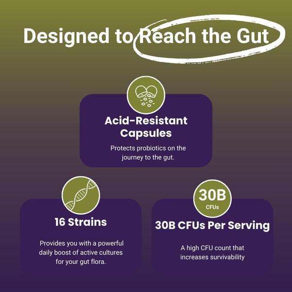 NutriZing Vegan Probiotics for Digestive Health - 30 Billion CFU & 16 strains - Bifidobacterium & Lactobacillus Probiotics for Men & Women -