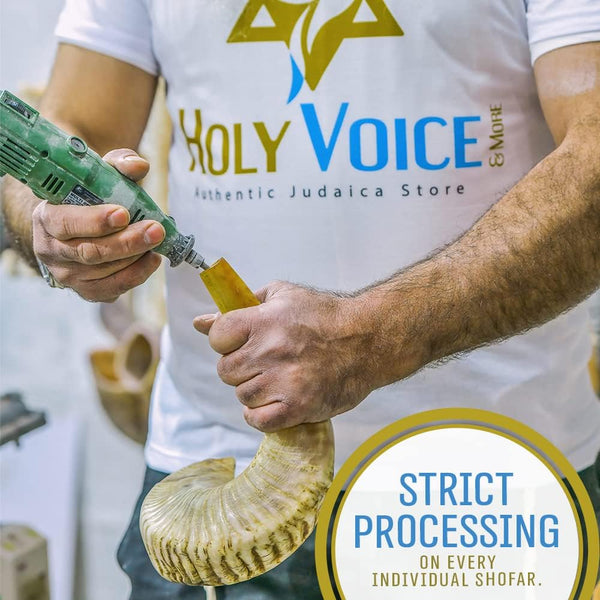 Holy Voice Kosher Ram Shofar Horn from Israel 14"-16" Traditional Half Polished, Holy Land Ancient Jewish Musical Instrument, Smooth Mouthpiece