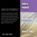 Godefroy Silver Fox | Natural Beard Oil for Gray Hair for Shine and Brightness
