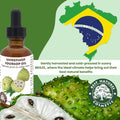 Virgin Soursop Oil (Anona Muricata, Graviola, Guanabana) – 100% Pure, Organic, Cold-Pressed, Unrefined – 1oz - 30ml – Natural Facial Oil &
