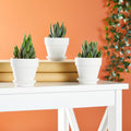 Juvale Mini Terracotta Pots - Pot with Drainage Hole - Versatile Succulent & Herb Planter - Paintable White Planter for Custom Decor - Pack of 12,