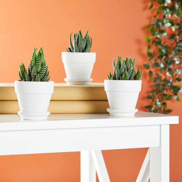 Juvale Mini Terracotta Pots - Pot with Drainage Hole - Versatile Succulent & Herb Planter - Paintable White Planter for Custom Decor - Pack of 12,