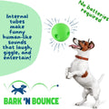 MISTIC COOL Bark N Bounce: The Interactive Dog Toy Ball that Bounces and Laughs, Engaging Your Dog's Natural Instincts | Small/Medium 3.75in |
