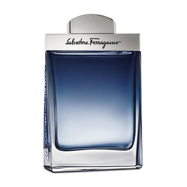 Salvatore Ferragamo Subtil Eau De Toilette Spray for Men, 3.4 Ounce