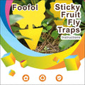 Fruit Fly Traps Fungus Gnat Traps Yellow Sticky Bug Traps 36 Pack No Harm and Odorless for Indoor Outdoor Use Protect The Plant 36 Pack-A Yellow