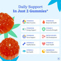 FIRST DAY Vitamins for Teens - Teen Multi Vitamins for Girls & Boys 12-17, Organic Fruit & Veggie Blend - 12 Key Nutrients: Vitamins A, B1, B2,