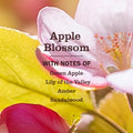 MRS. MEYER'S CLEAN DAY Vinegar Gel Cleaning Spray, Apple Blossom, 16 fl oz Apple Blossom 16 Fl Oz (Pack of 1)
