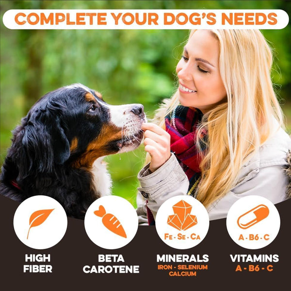 BRUTUS & BARNABY Sweet Potato Dog Treats- No Additive Dehydrated Sweet Potato Fries, Grain Free, Gluten Free and No Preservatives Added (14 oz) 14