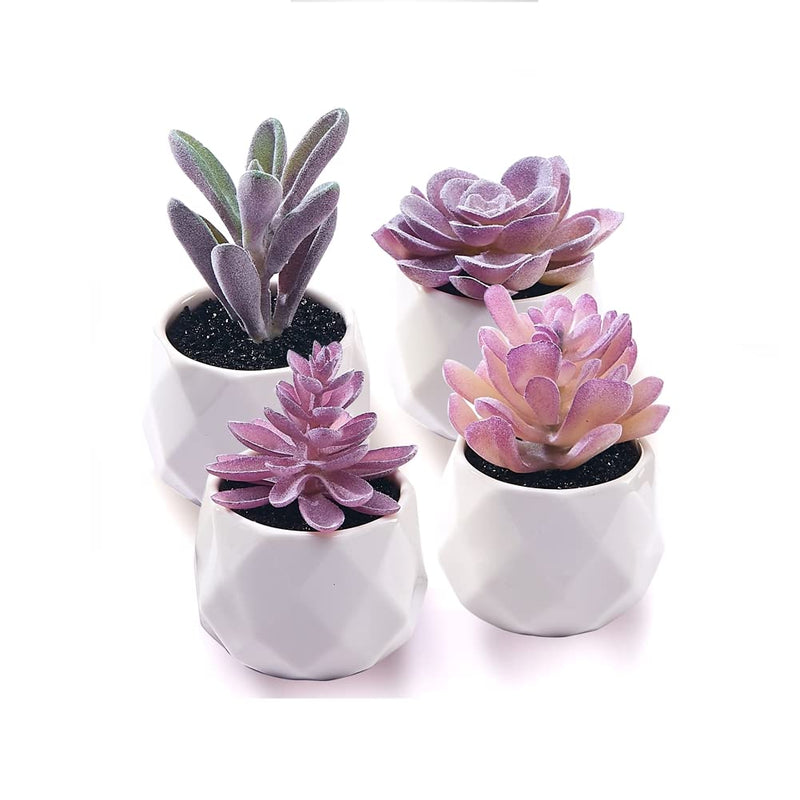 CADNLY Fake Succulent Plant Set - Artificial Desk Plants for Women Desk - Realistic Faux Succulents in Ceramic Pots - Mini Purple Decor for
