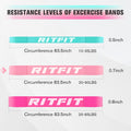 RitFit Pull Up Assist Band in Natural Latex for Stretching and Mobility Pink