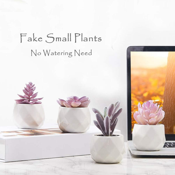CADNLY Fake Succulent Plant Set - Artificial Desk Plants for Women Desk - Realistic Faux Succulents in Ceramic Pots - Mini Purple Decor for