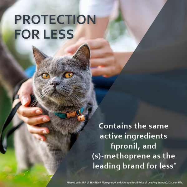Sentry Fiproguard Flea & Tick Cats 1.5 lbs+, Fipronil, 6-Month | Ideal for Cats & Kittens 1.5 lbs+; Kills Fleas, Ticks & Chewing Lice for 30 Days;