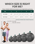 Trideer Extra Thick Yoga Ball Exercise Ball, 5 Sizes Gym Ball, Heavy Duty Ball Chair for Balance, Stability, Pregnancy, Quick Pump Included