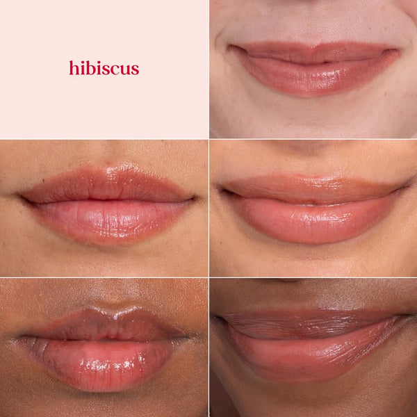 Burts Bees 100% Natural Tinted Lip Balm, Hibiscus with Shea Butter & Botanical Waxes 1 Tube