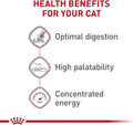 Royal Canin Feline Health Nutrition Sensitive Digestion Adult Dry Cat Food, 3.5 lb Bag 3.5 Pound (Pack of 1)