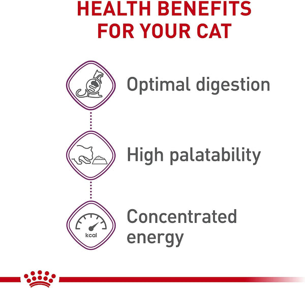 Royal Canin Feline Health Nutrition Sensitive Digestion Adult Dry Cat Food, 3.5 lb Bag 3.5 Pound (Pack of 1)