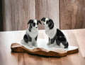Cosmos Gifts Ceramic Border Collie Salt and Pepper Set, 2-1/2-Inch