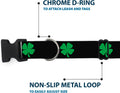 Buckle-Down 6-9" St. Pat'S Black/Green Plastic Clip Collar, Narrow Small 1/2" Wide - Fits 6-9" Neck - Small