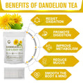 Organic Dandelion Leaf & Root Tea, Supports Kidney Function and Healthy Digestion, Caffeine Free, 40 Tea Bags Dandelion Leaf & Root 40 Count (Pack