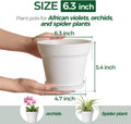T4U Plant Pots Indoor 6 Inch 8 Pack, Plastic Flower Pots with Saucer White 6 inch White
