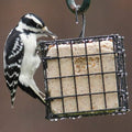 More Birds Suet Cage Bird Feeder, Fruit and Suet Feeder, Single Cake Capacity ,Black Black Single Cake Suet Cage