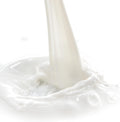 White Tea and Jasmine Foaming Milk Bath, 28 Fl Oz, Pack of 2
