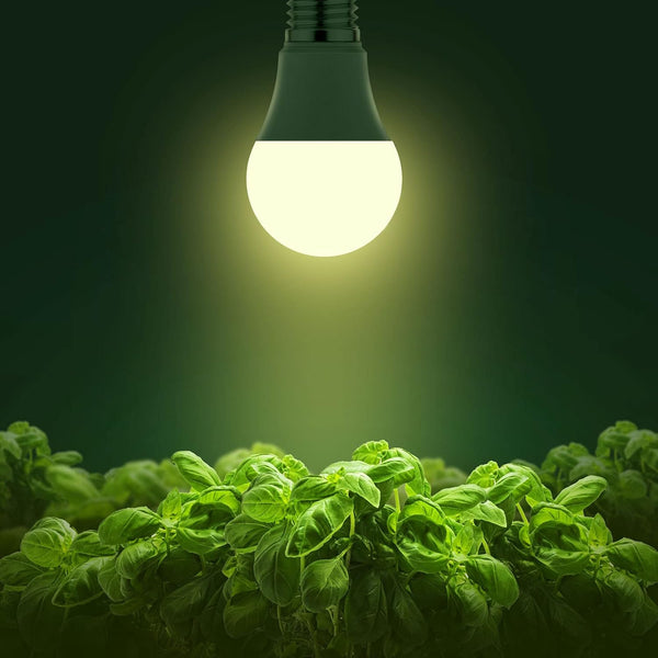 Grow Light Bulbs, Briignite LED Grow Light Bulb A19 Bulb, Full Spectrum Grow Light Bulb, Plant Light Bulbs E26 Base, 11W Grow Bulb 100W