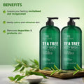 Botanic Hearth Tea Tree Body Wash, 16 Fl Oz (473 ml) Pack of 2 | With Tea Tree Oil, Peppermint & Sea Buckthorn | Gently Cleanses, Refreshes &