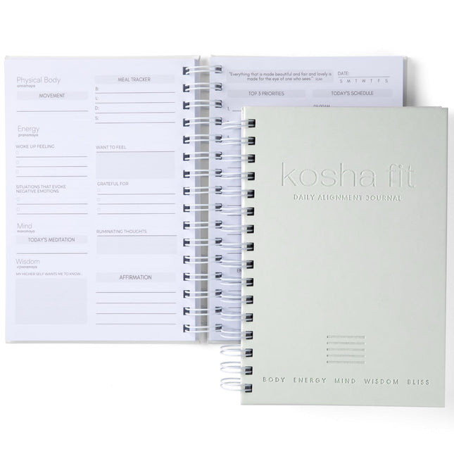 Daily Alignment Journal: Habit Tracker for Goals & Mental Health, Undated Daily 