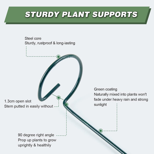 12 Pack 16 Inch Metal Plant Support Stakes for Outdoor Plants and Flowers | Plant Support Sticks, Includes 24 Twist Ties, For Peony, Amaryllis,